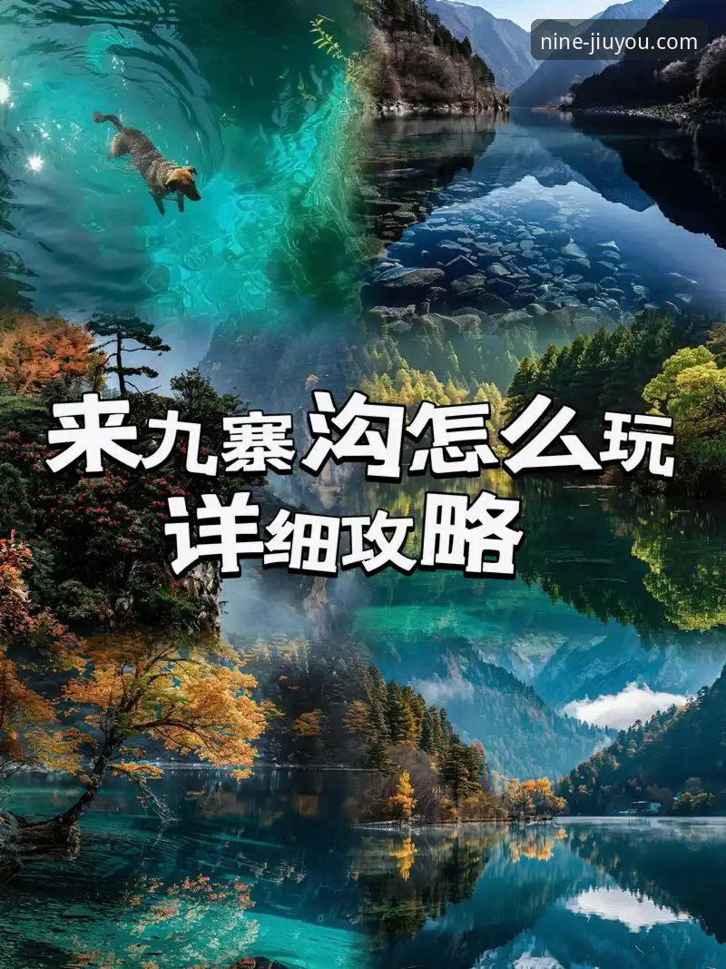 3步搞定九游APP安装评测：从下载到畅玩的完整指南